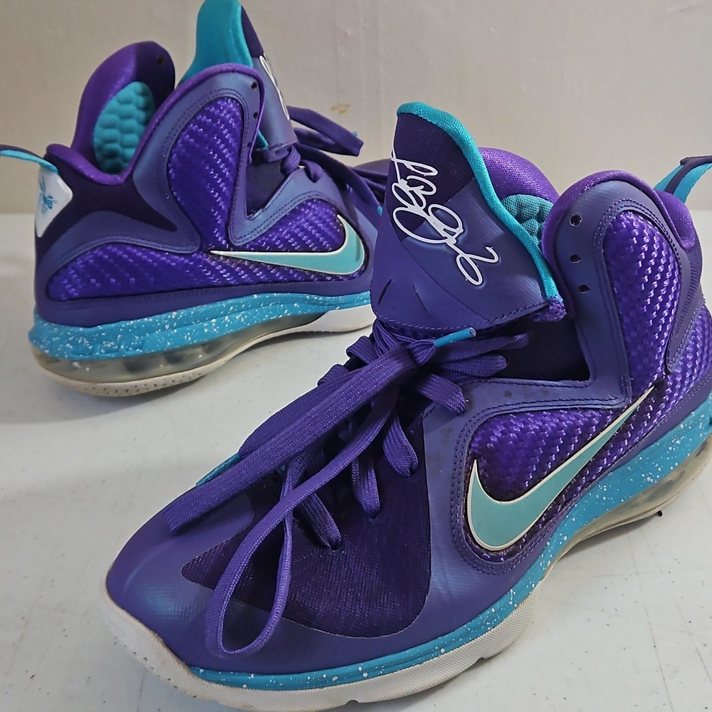 Nike LeBron Summit Lake Hornets size 9.5 no box never worn!